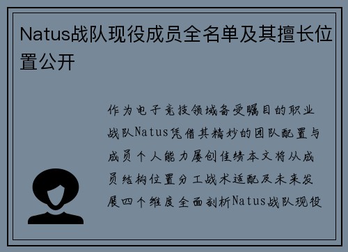 Natus战队现役成员全名单及其擅长位置公开